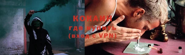 мдпв Богородск