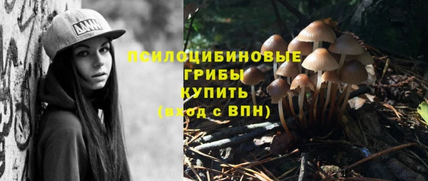 кокс Богданович